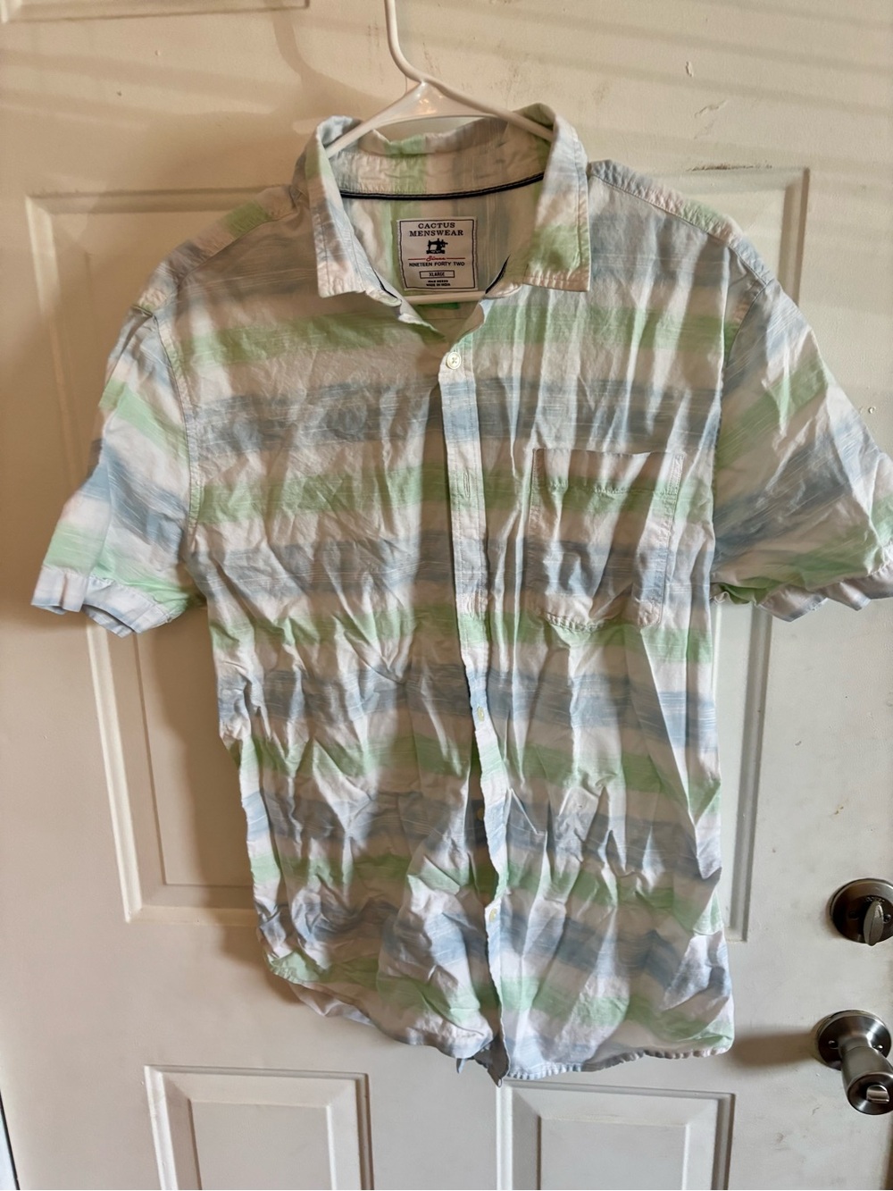 Cactus Men's Short-Sleeve Button-Down Shirt - Blue & Green Stripes